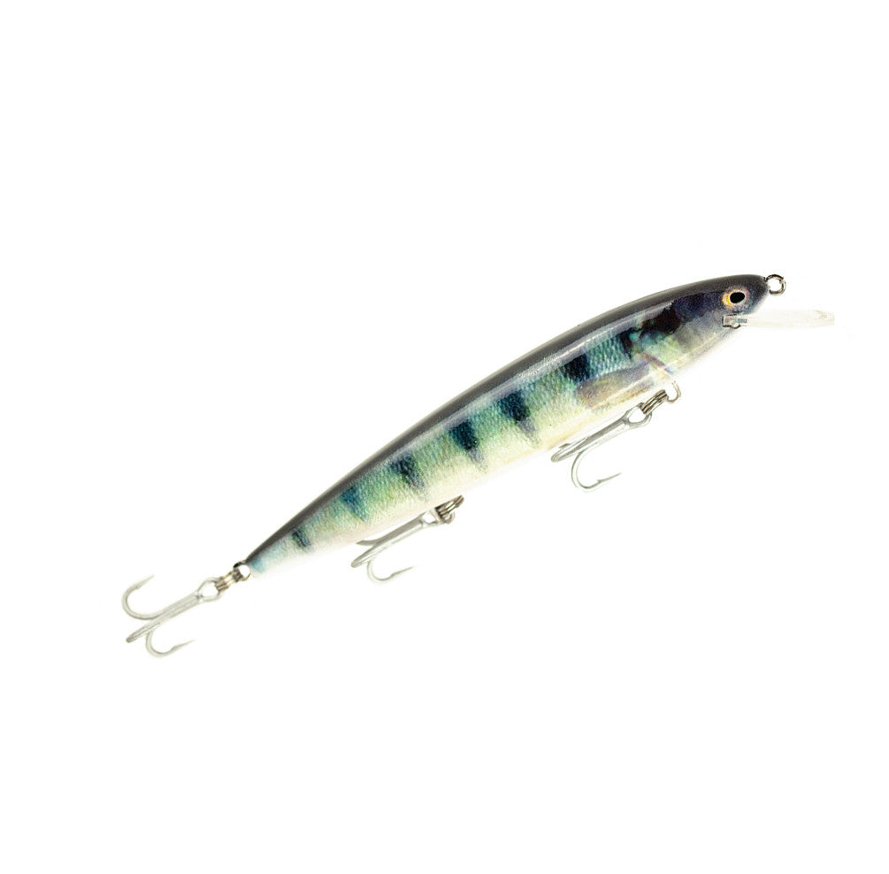 Patriot 6 inch - Redfin Perch.jpg