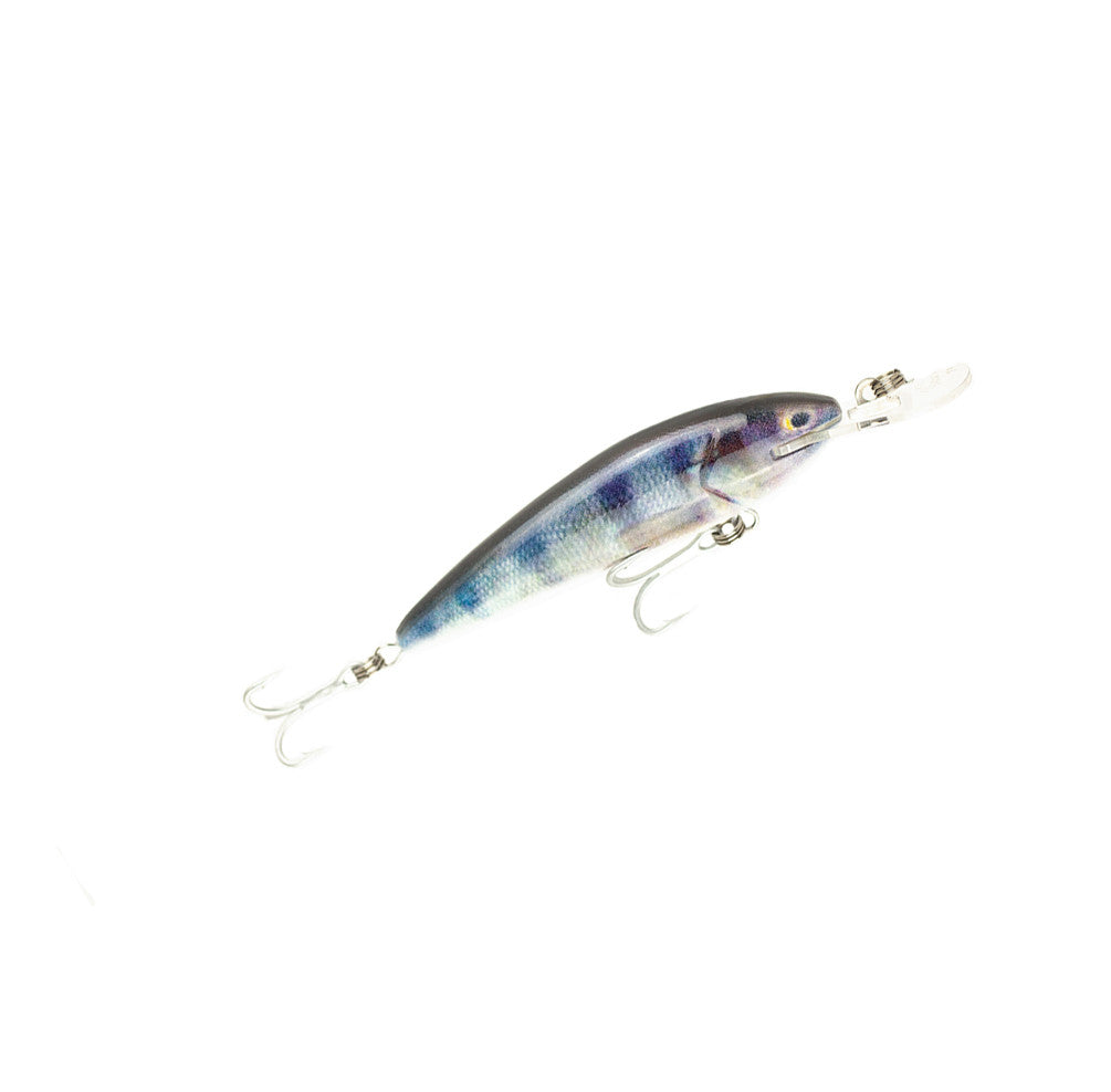 Jack Snax 4 inch suspending - Redfin Perch.jpg