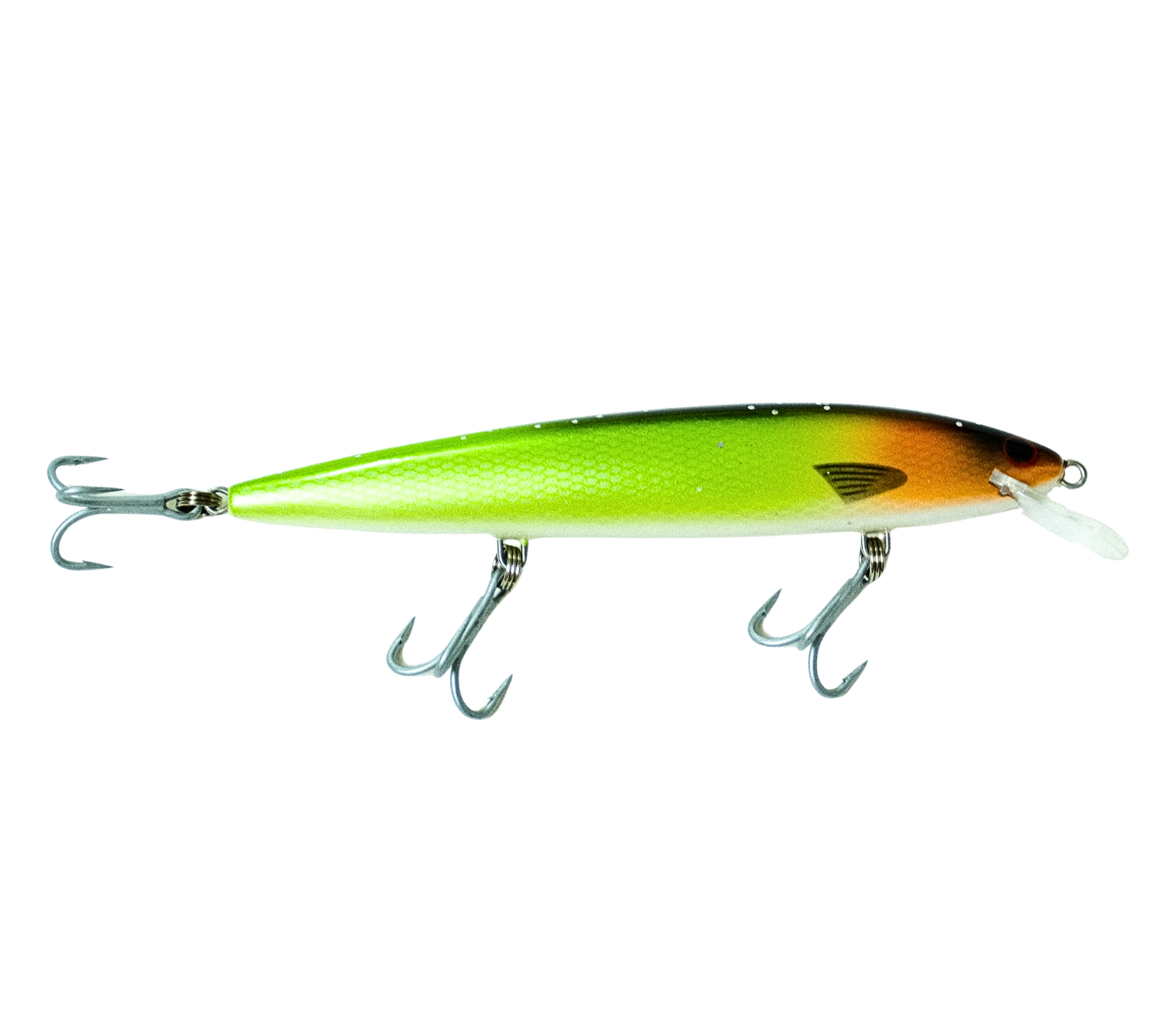 Copper Raptor Raptor Patriot 6